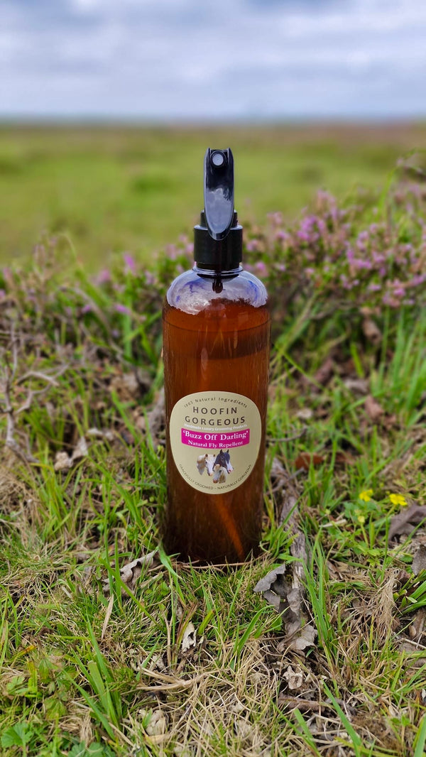 'Buzz off Darling' - Luxury Fly Spray 500ml